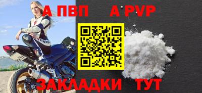 шишки Кингисепп