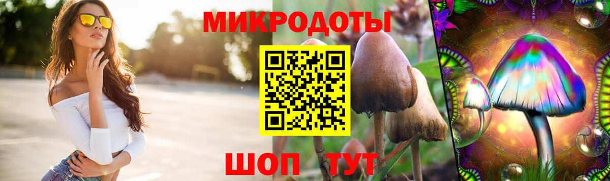 Кинель  Псилоцибиновые грибы мицелий  Вход с VPN 